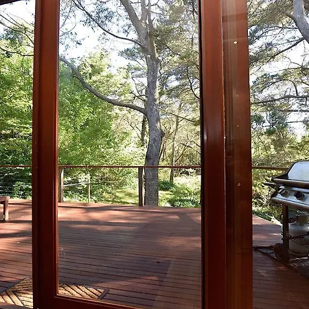 Santosha Glade Near The Everglades Leura Exterior photo